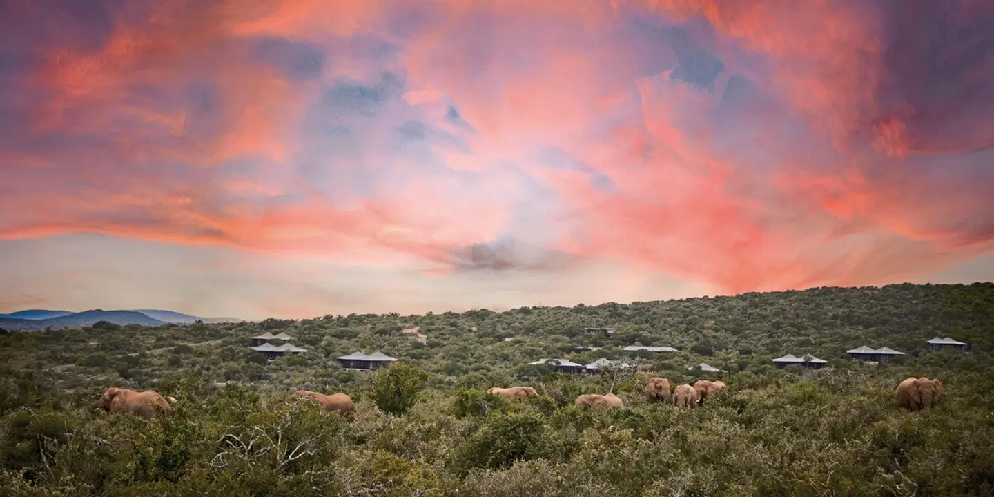Kwandwe Private Game Reserve LANDSCAPE