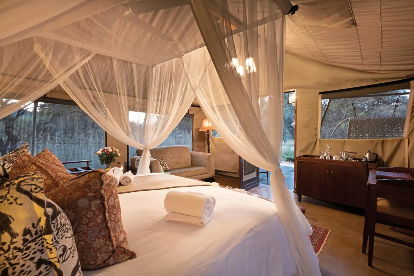 Safari Plains ROOM_EXAMPLE