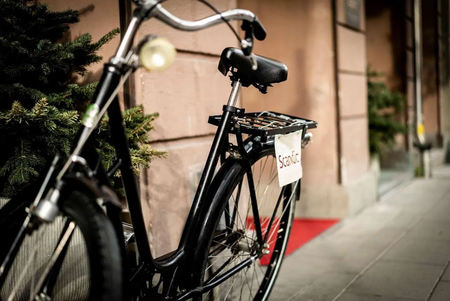 Hotel Scandic Continental SPORTS_AND_LEISURE