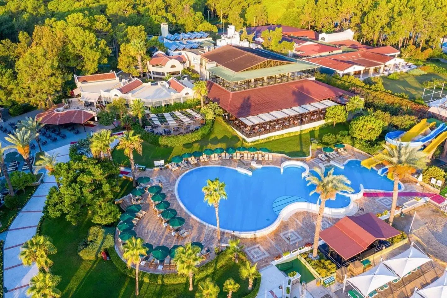 Gypsophila Club Marine MODEL_IMPRESSION