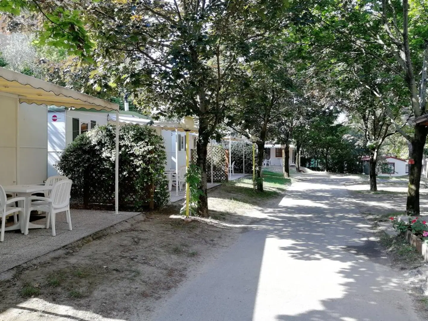 Camping Daino Terrasse