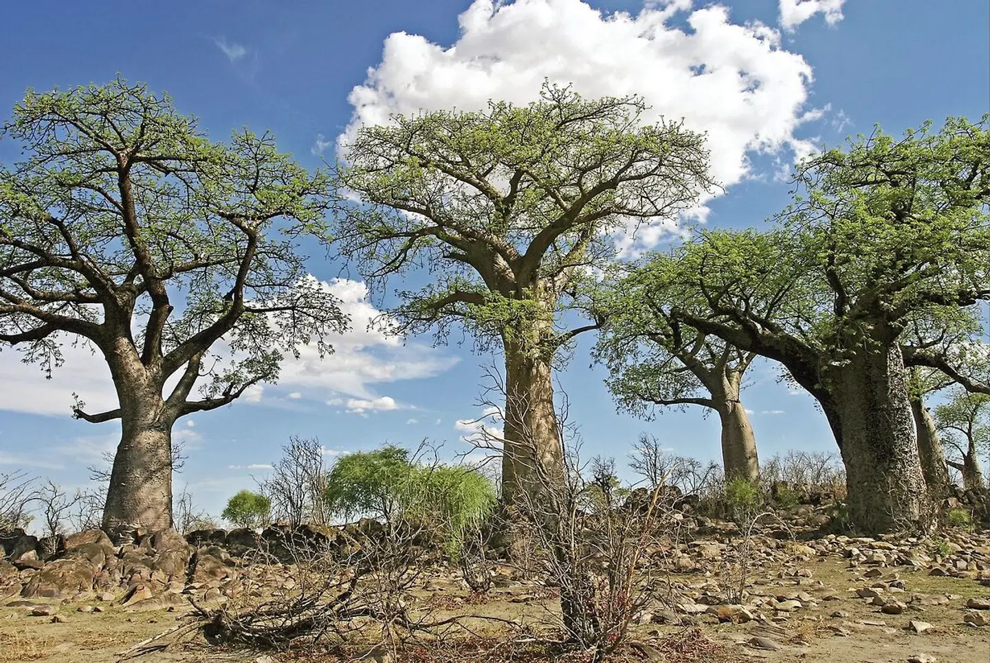 Sensation Canyons und Wüsten Standard LANDSCAPE
