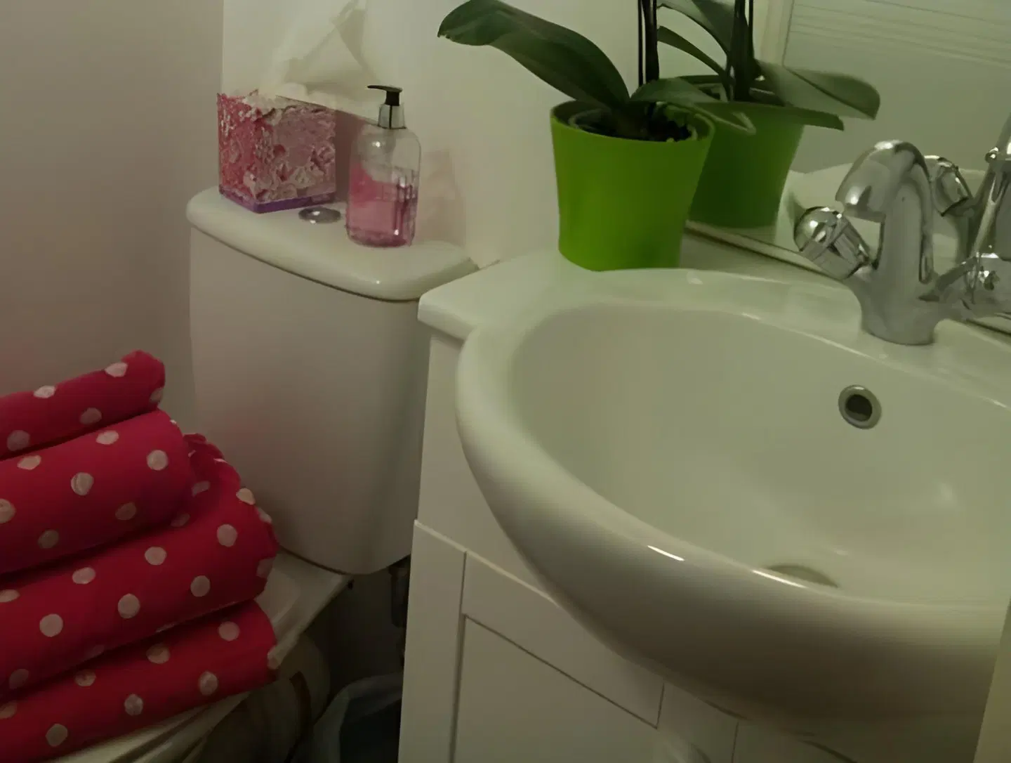 The Forester and Flower Badezimmer