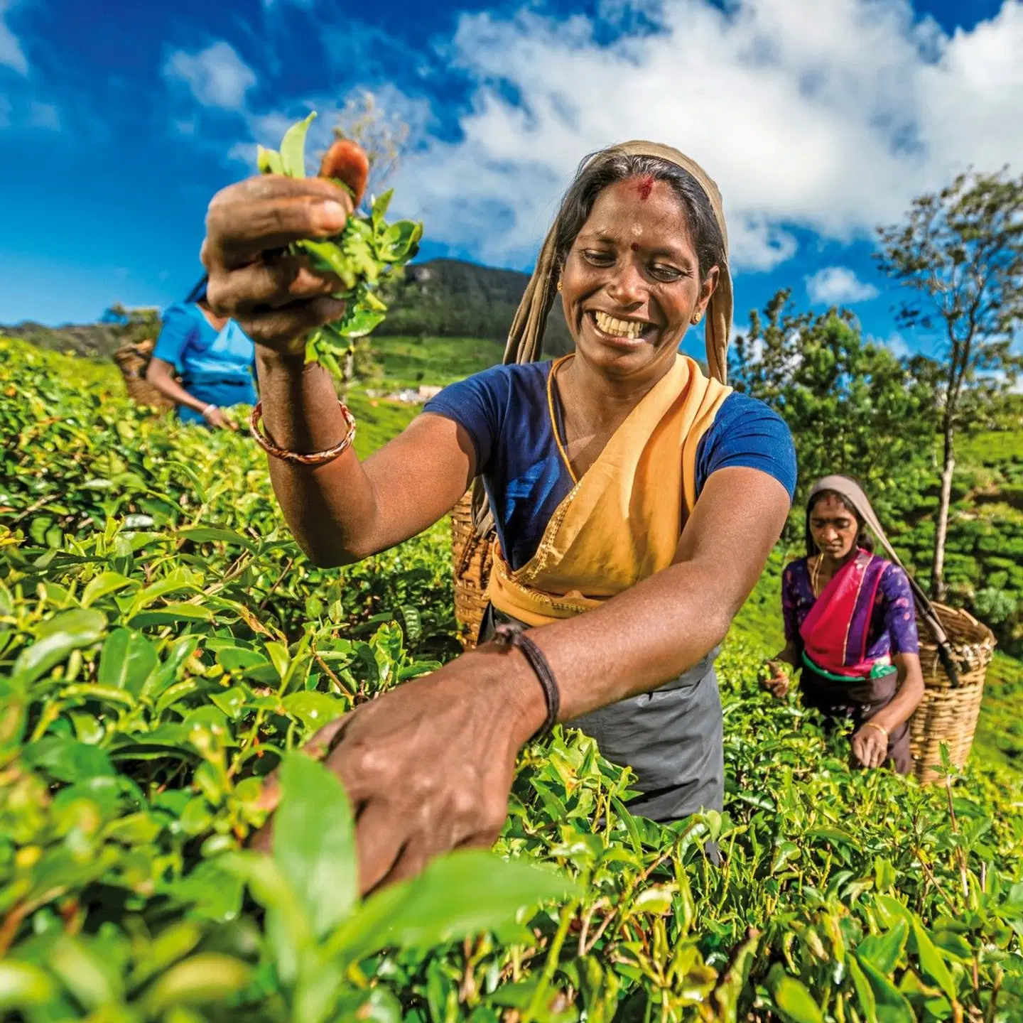 Tempel, Tee & Traditionen (Gruppenreise) PEOPLE