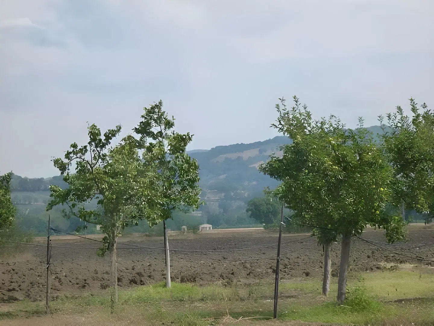 Campiglione Hotel Garten