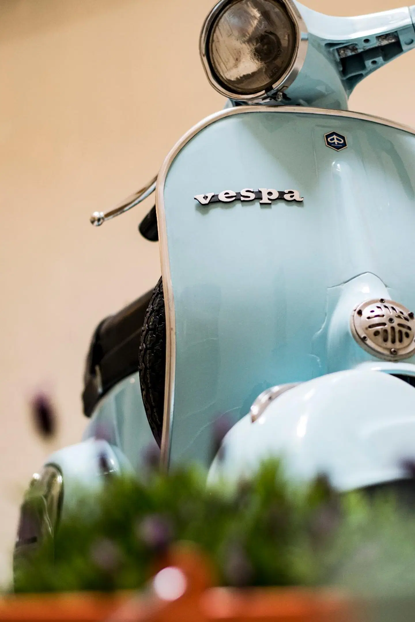 Hostel TrustEver SPORTS_AND_LEISURE