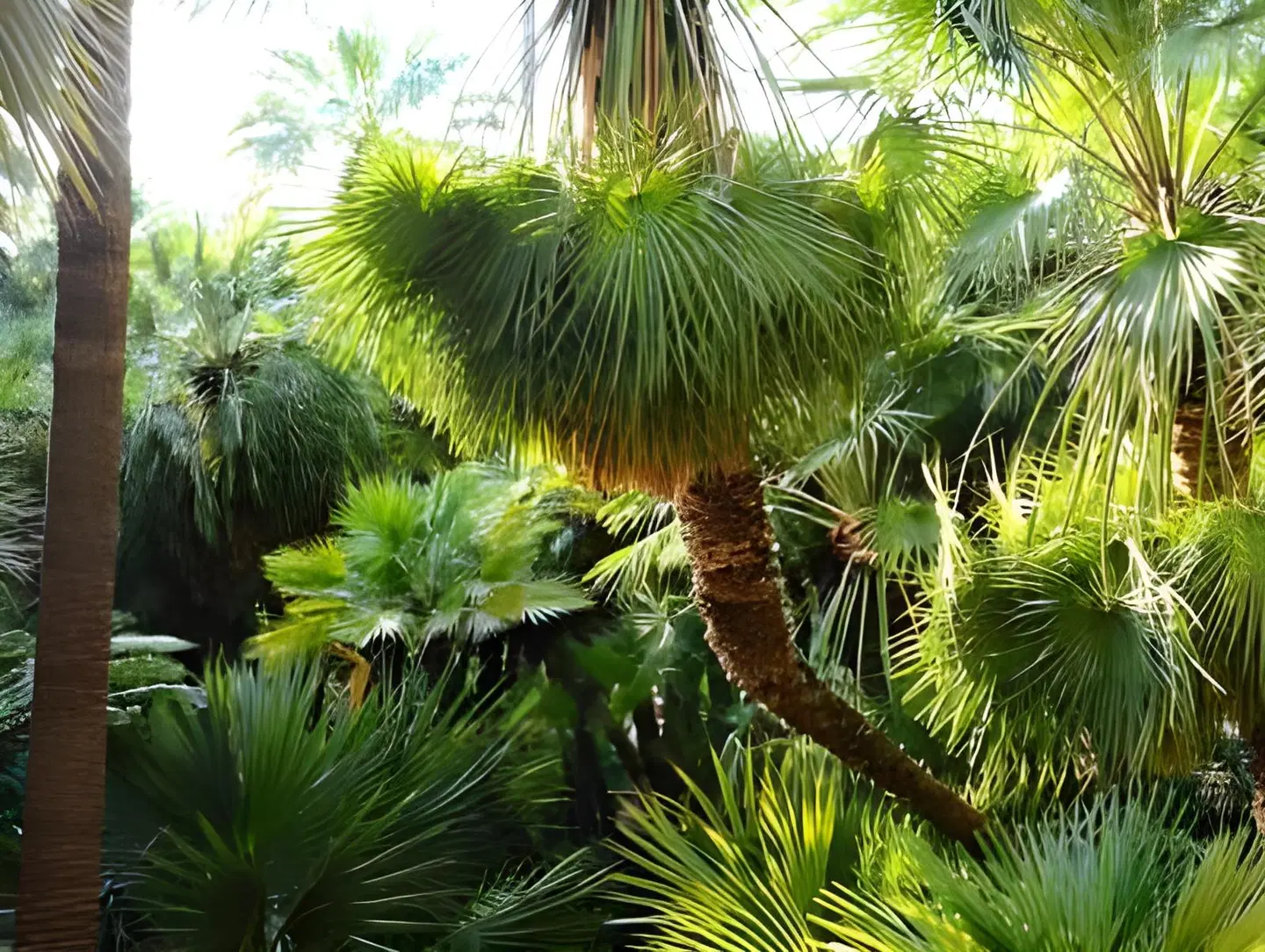 Camping Village Rosselba Le Palme Garten