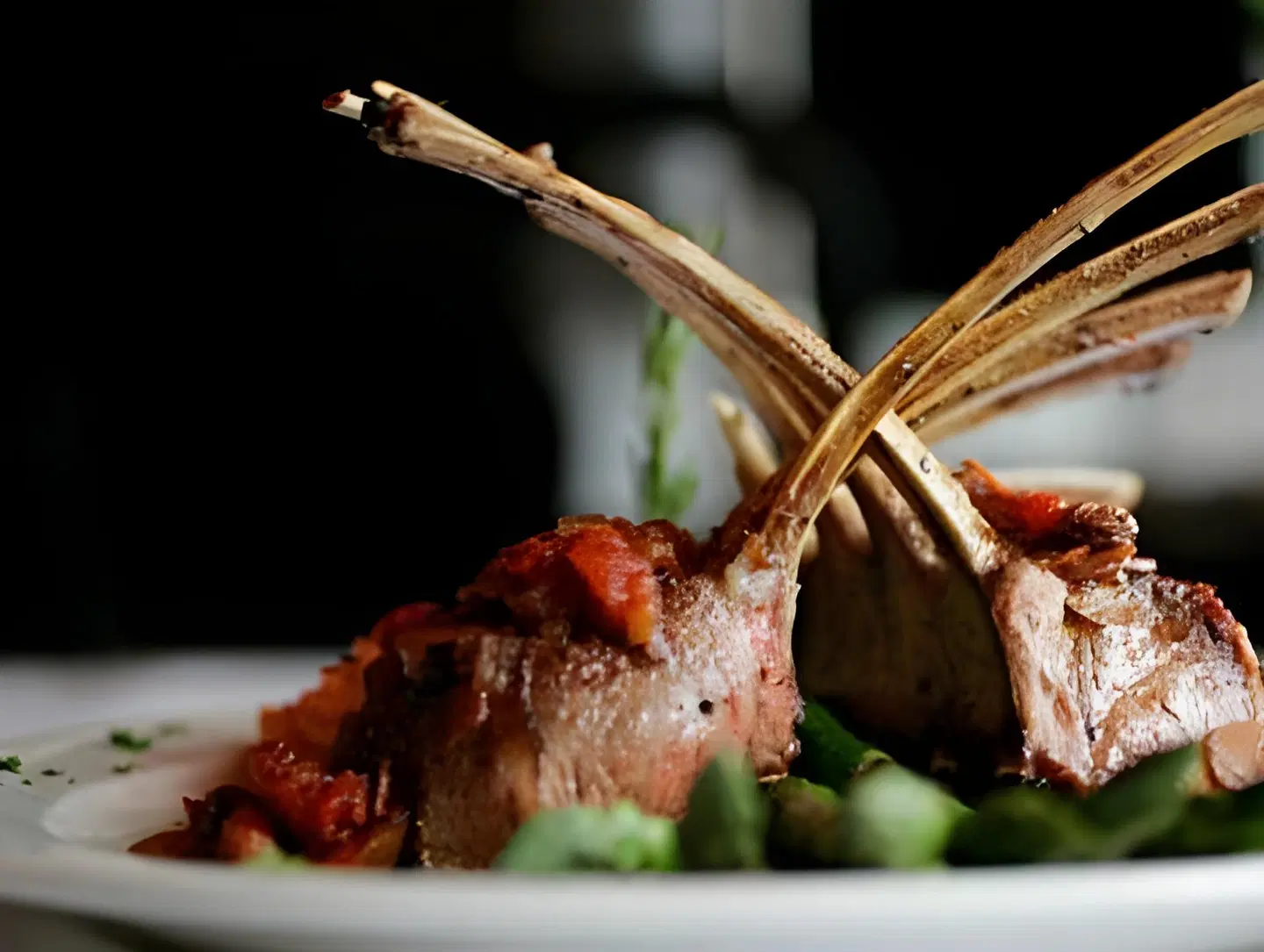 Renaissance Reno Downtown Hotel Tiere