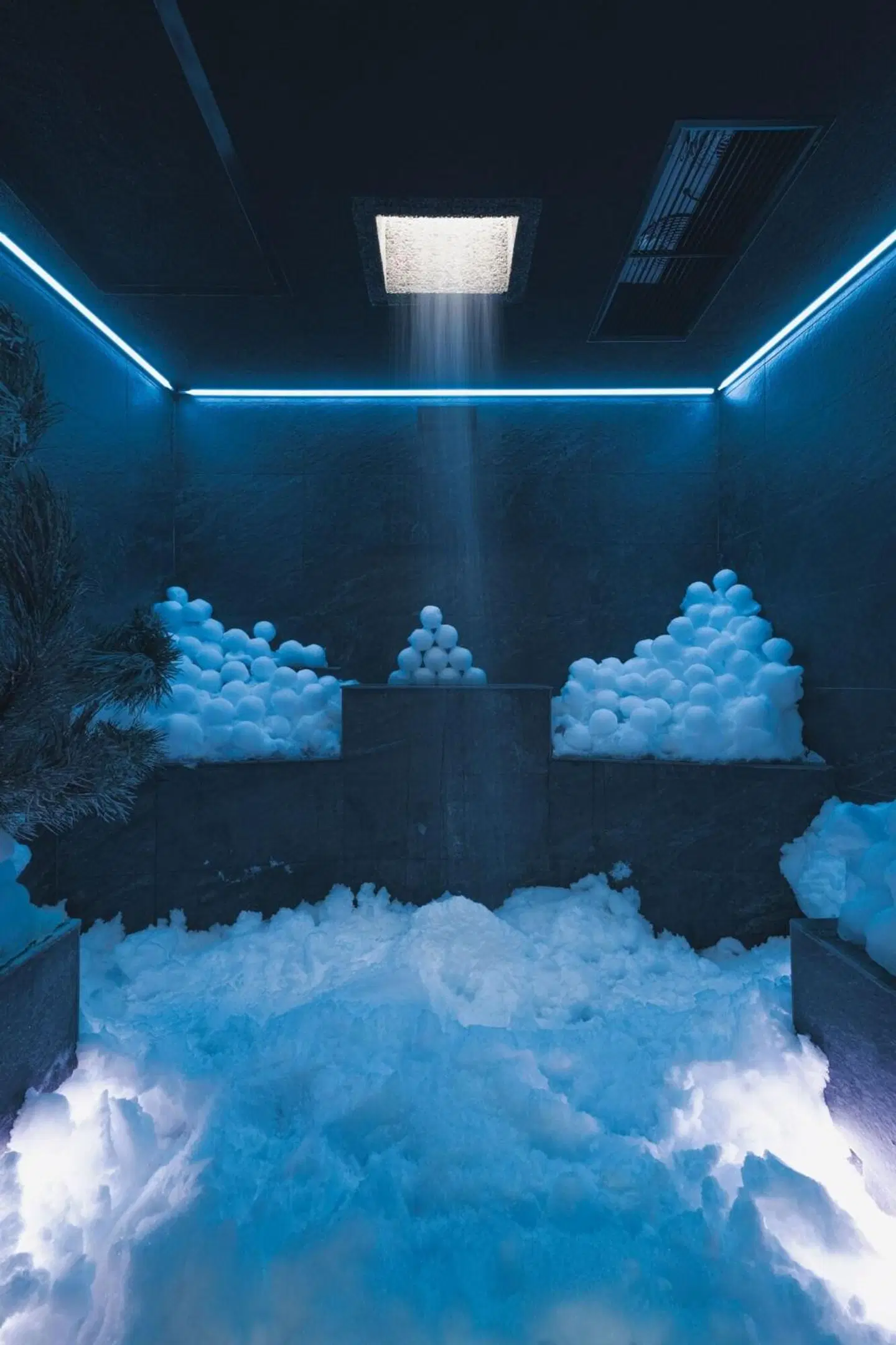 Alpenhotel Montafon LANDSCAPE