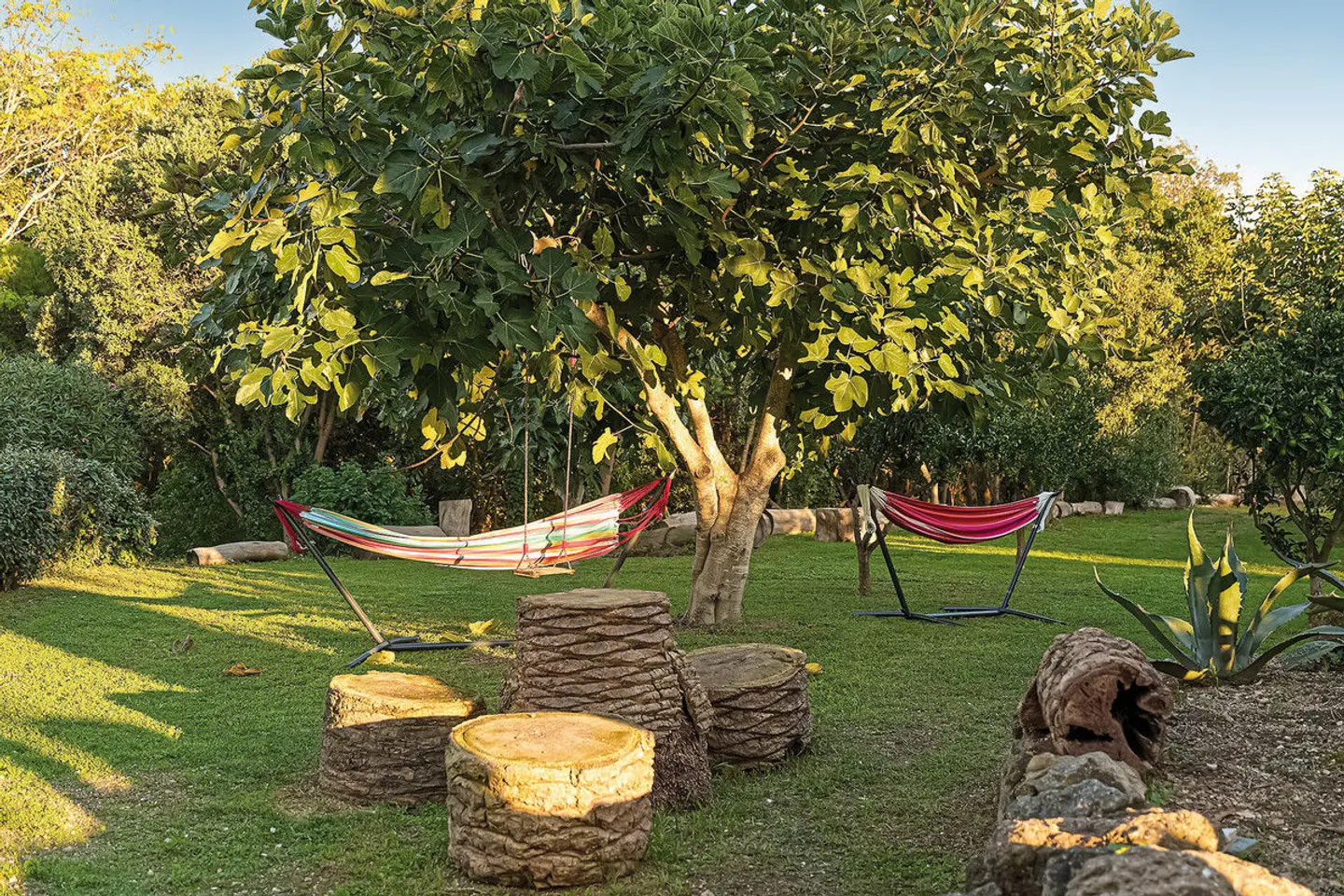 Hotel & Spa Continental Ischia Garten