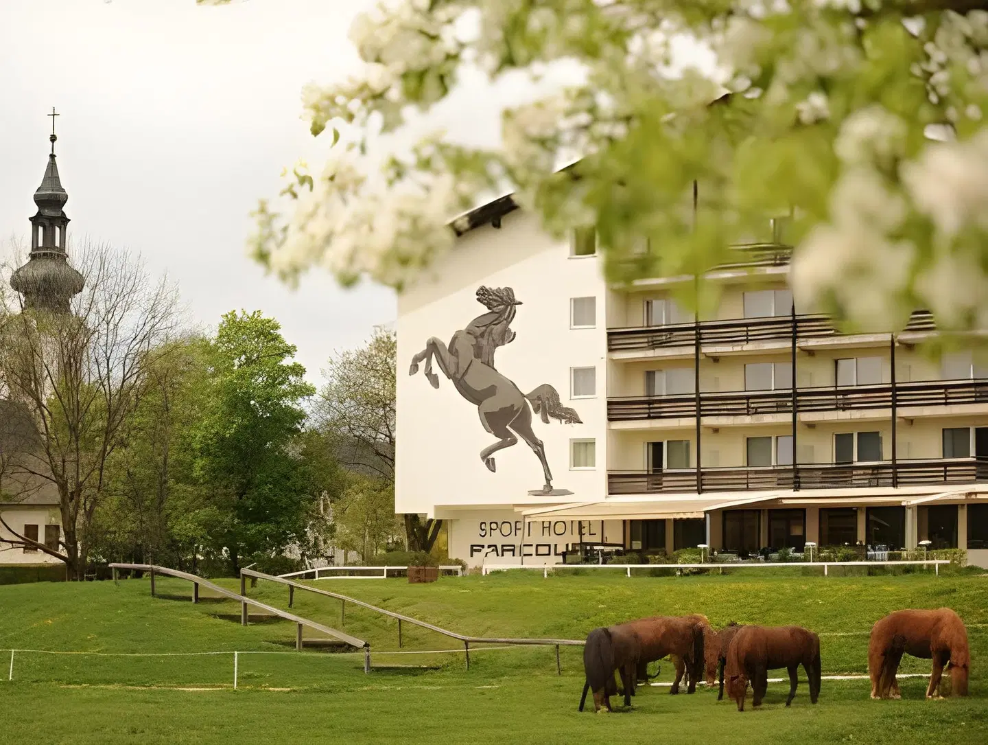 Hotel Reitzentrum Hausruckhof Tiere