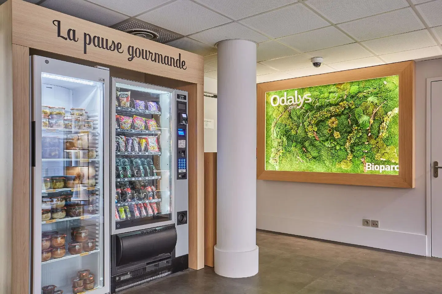 Appart hotel Odalys Lyon Bioparc Lyon Est ROOM_EXAMPLE