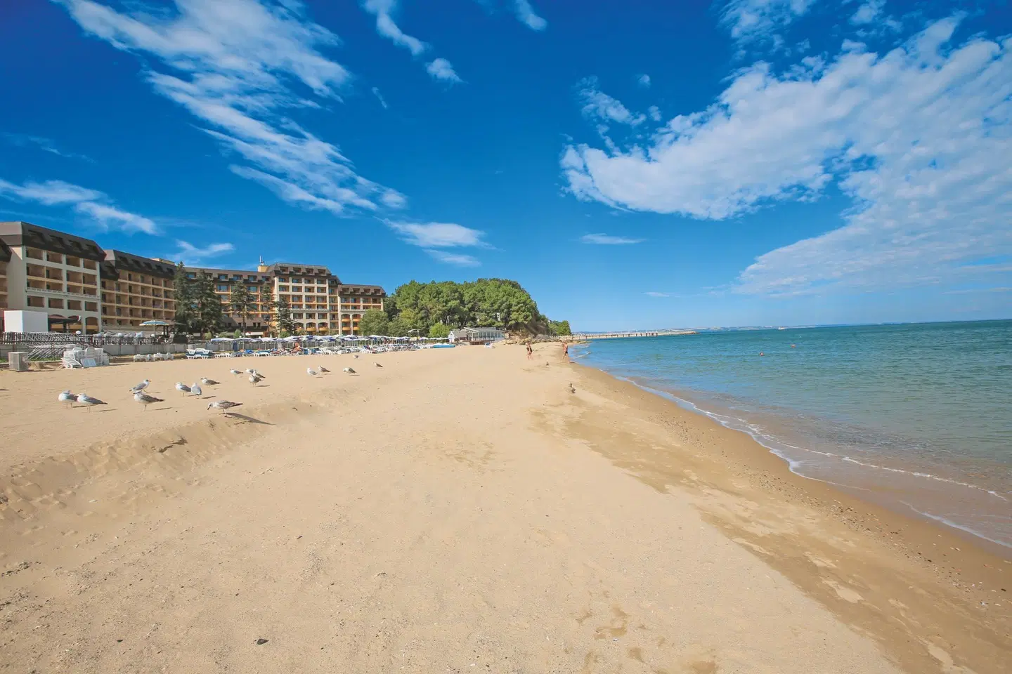 HVD Riviera Beach Strand