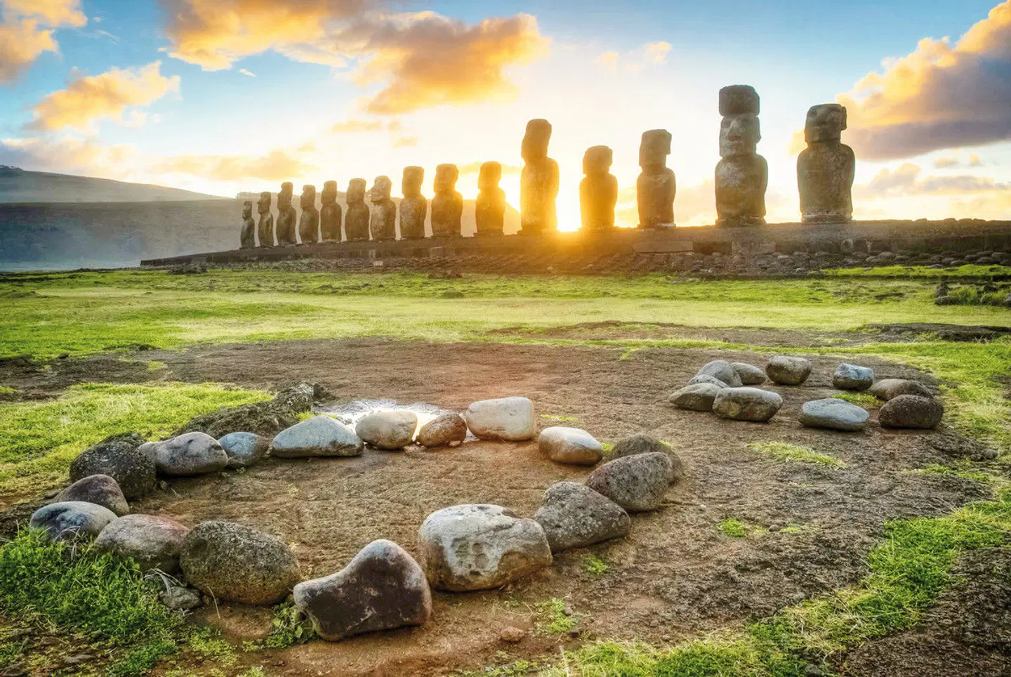 Auf den Spuren der Rapa Nui Tiere