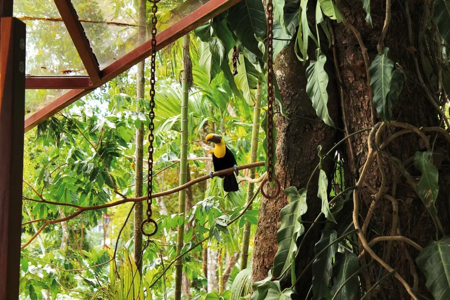 Nationalpark Manuel Antonio Tiere