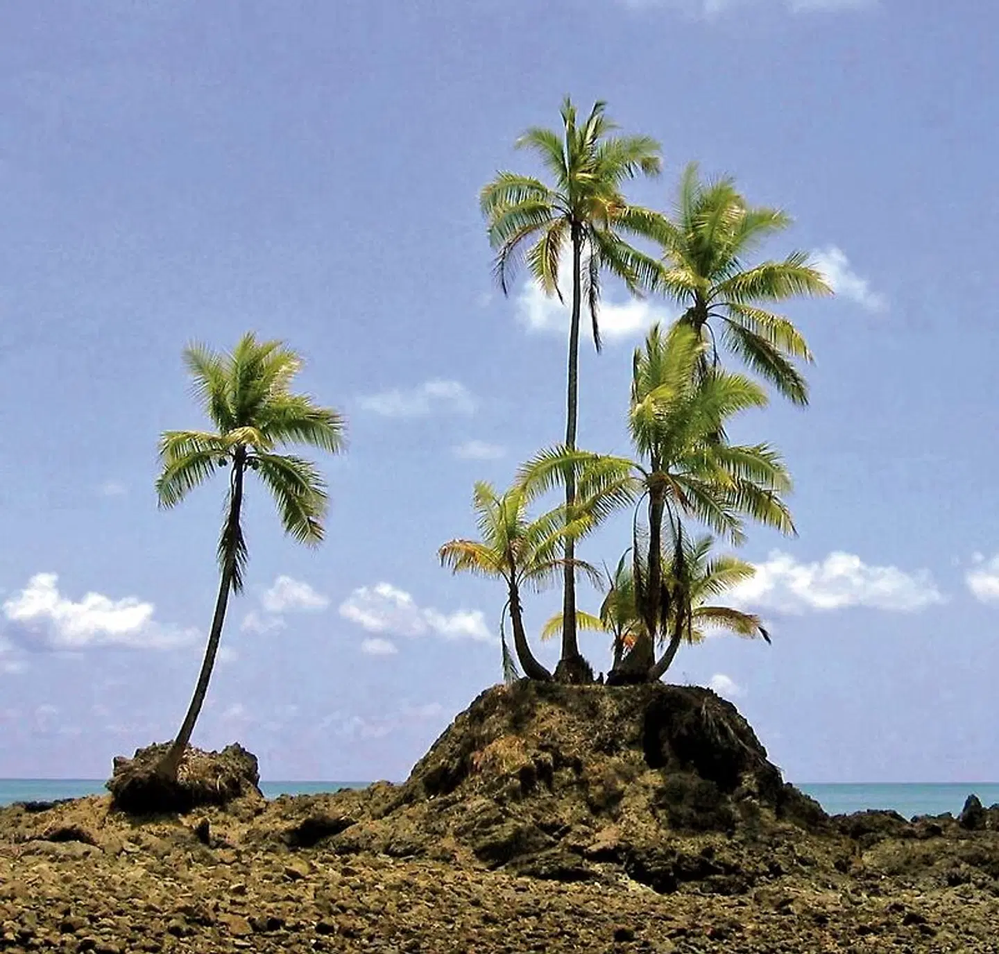 Nationalpark Corcovado LANDSCAPE
