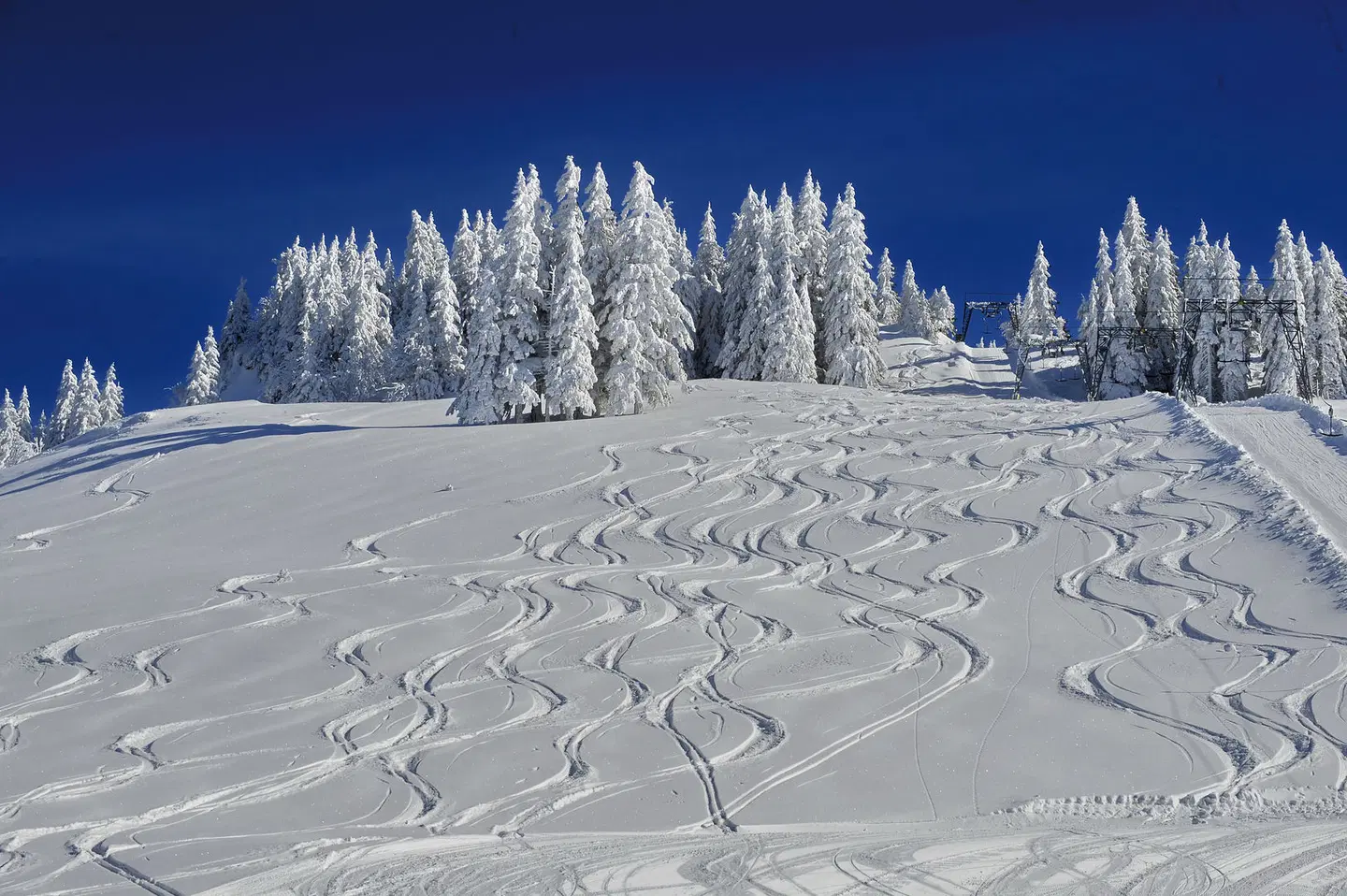 Golf & Alpin Wellness Resort Hotel Ludwig Royal LANDSCAPE