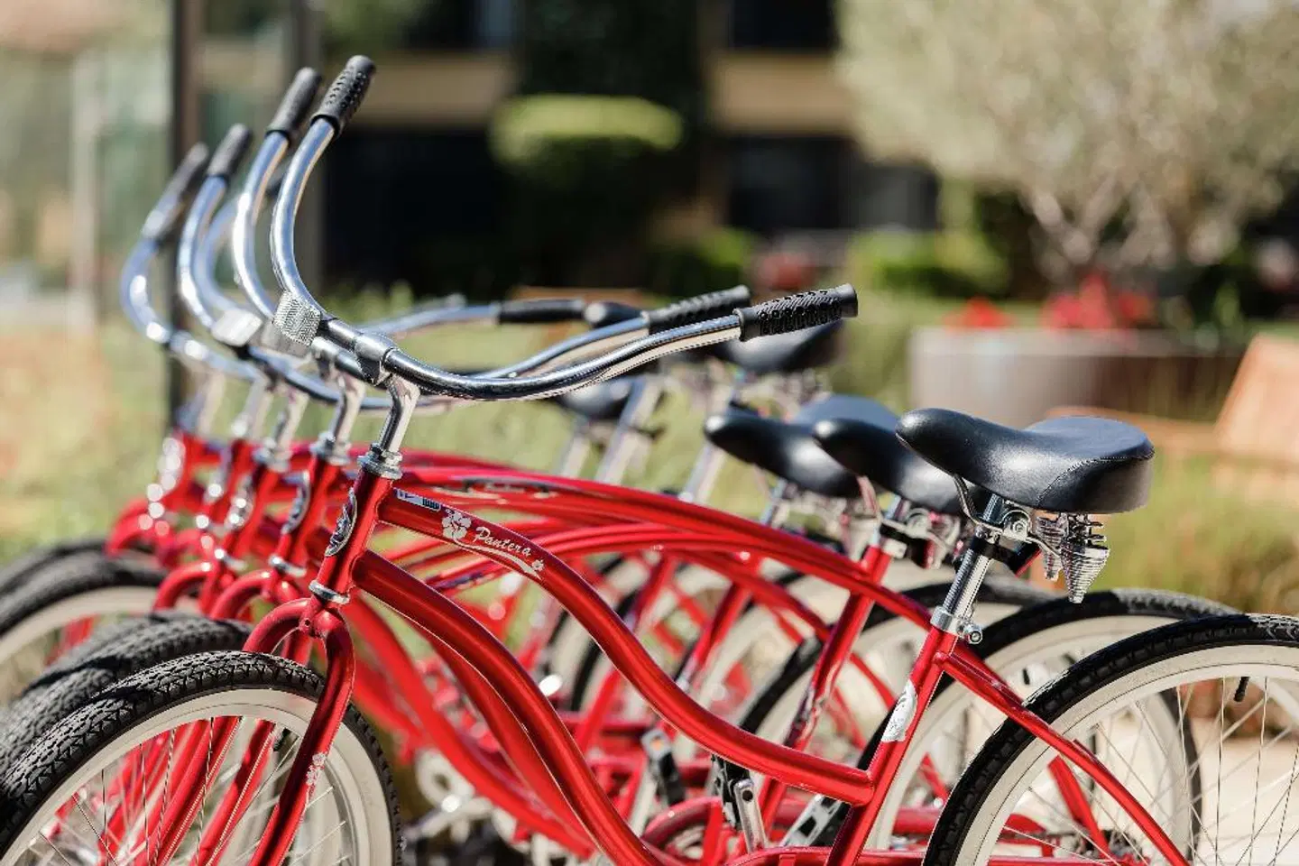 Miramonte Resort & Spa Tiere