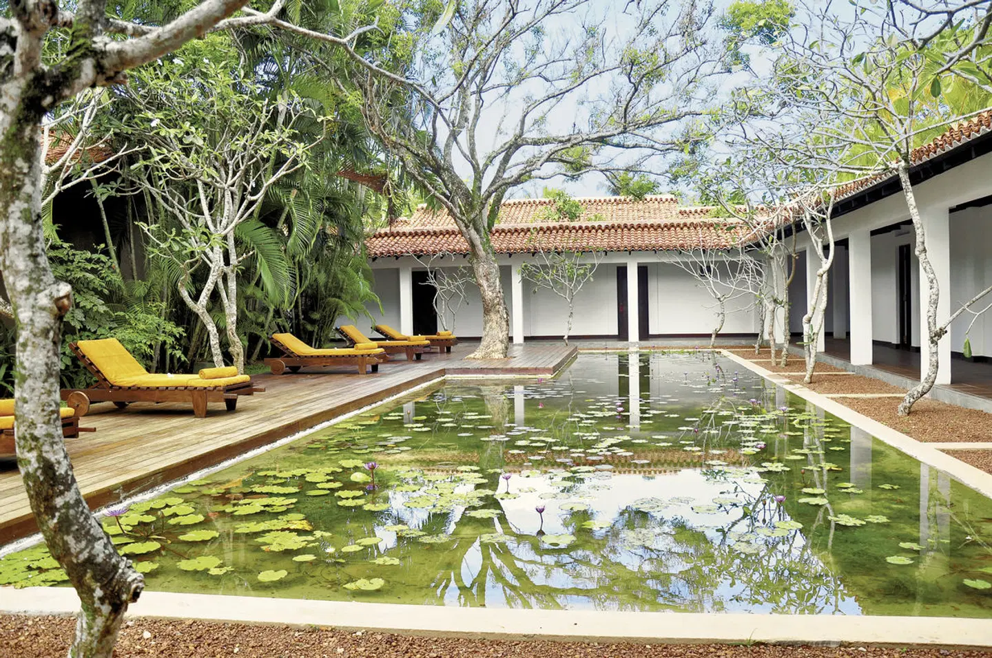 Heritance Ayurveda OUTDOOR_POOL