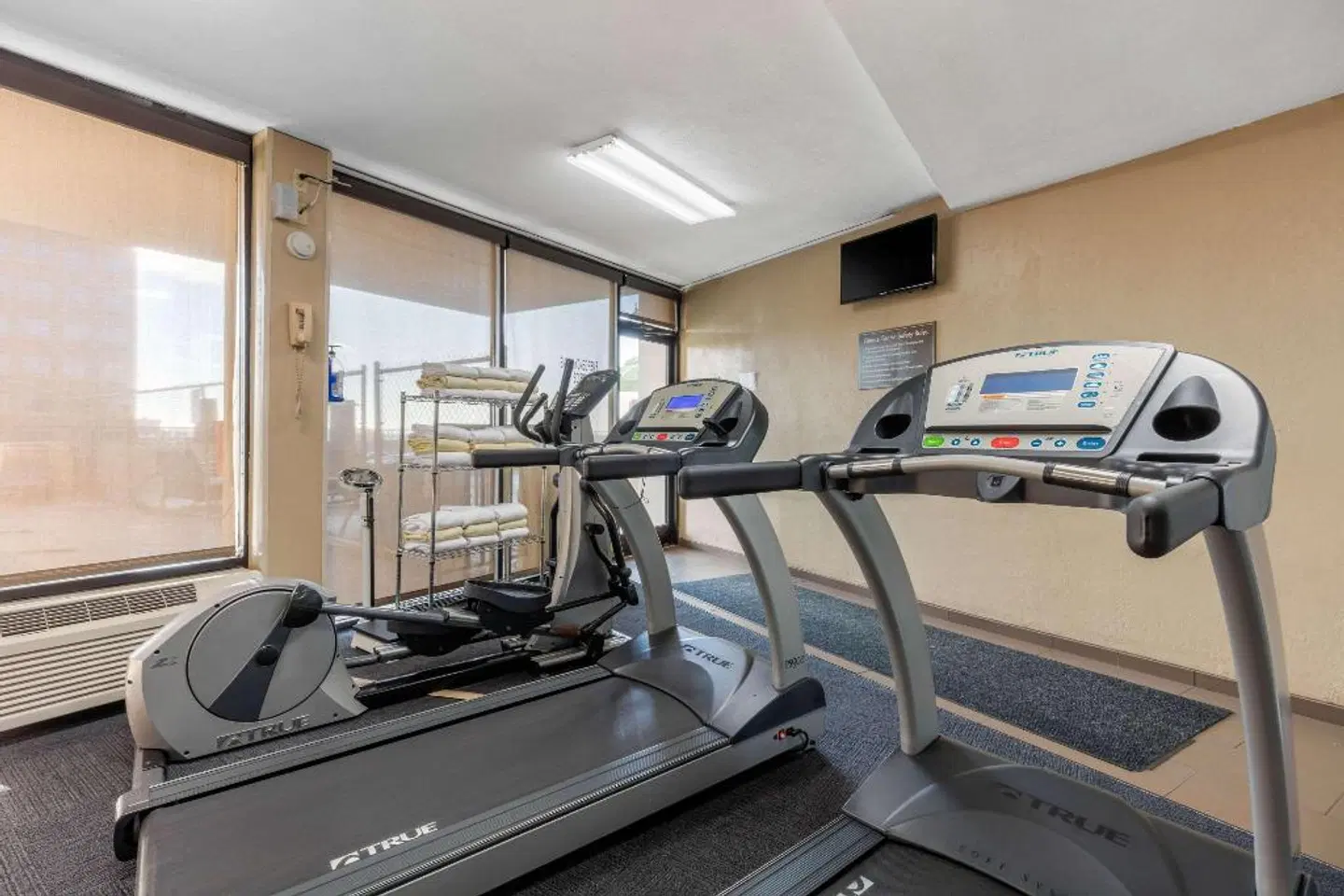 Comfort Inn Downtown Memphis SPORTS_AND_LEISURE