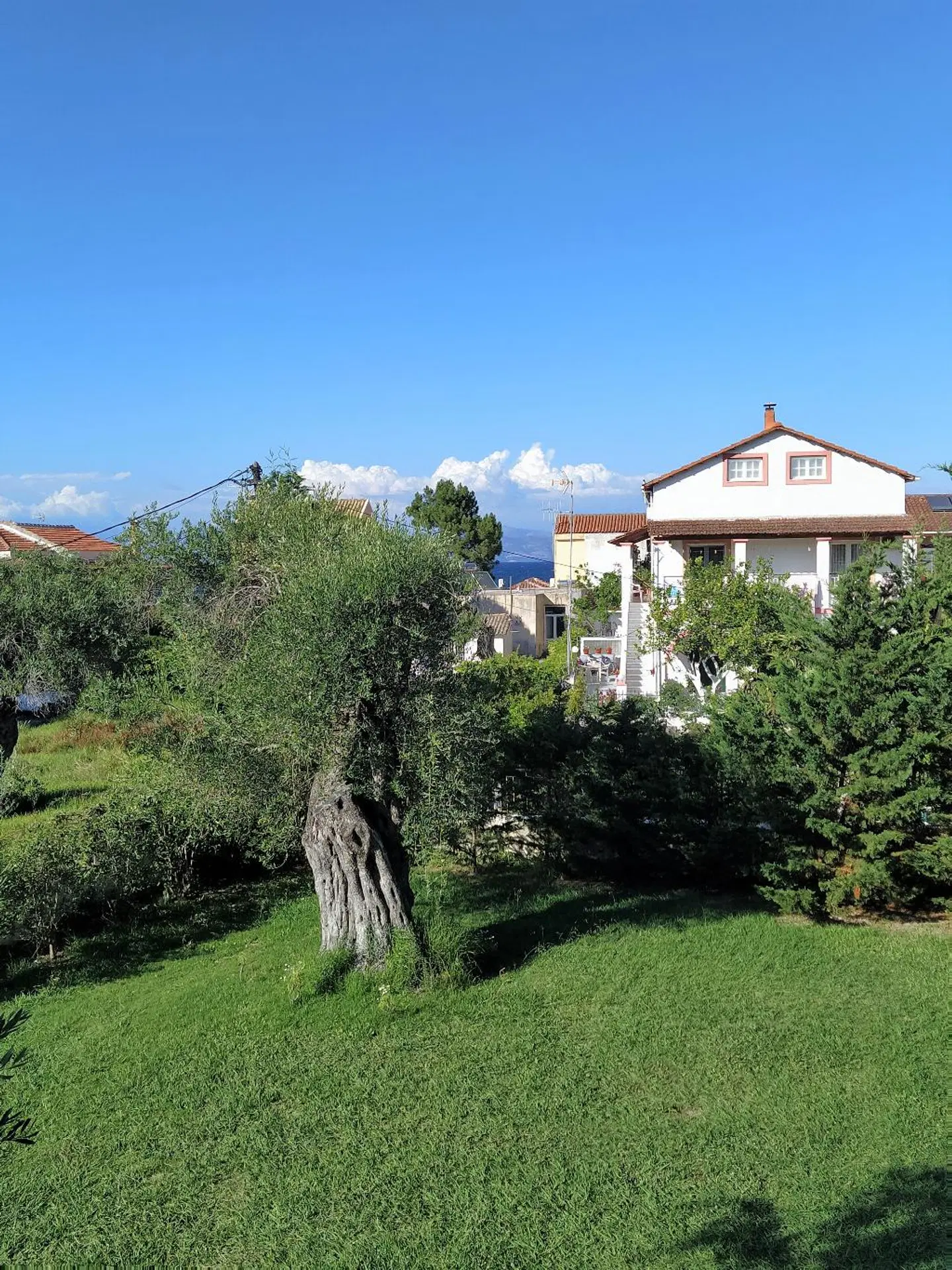 Ever Green Kavos Garten