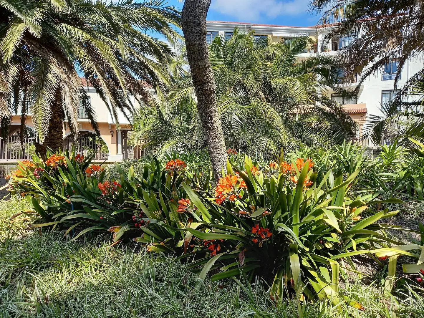 Majorca Apartments by BON Hotels Garten