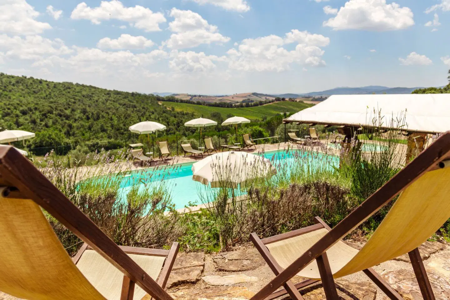 Tenuta Casteani Wine Resort OUTDOOR_POOL
