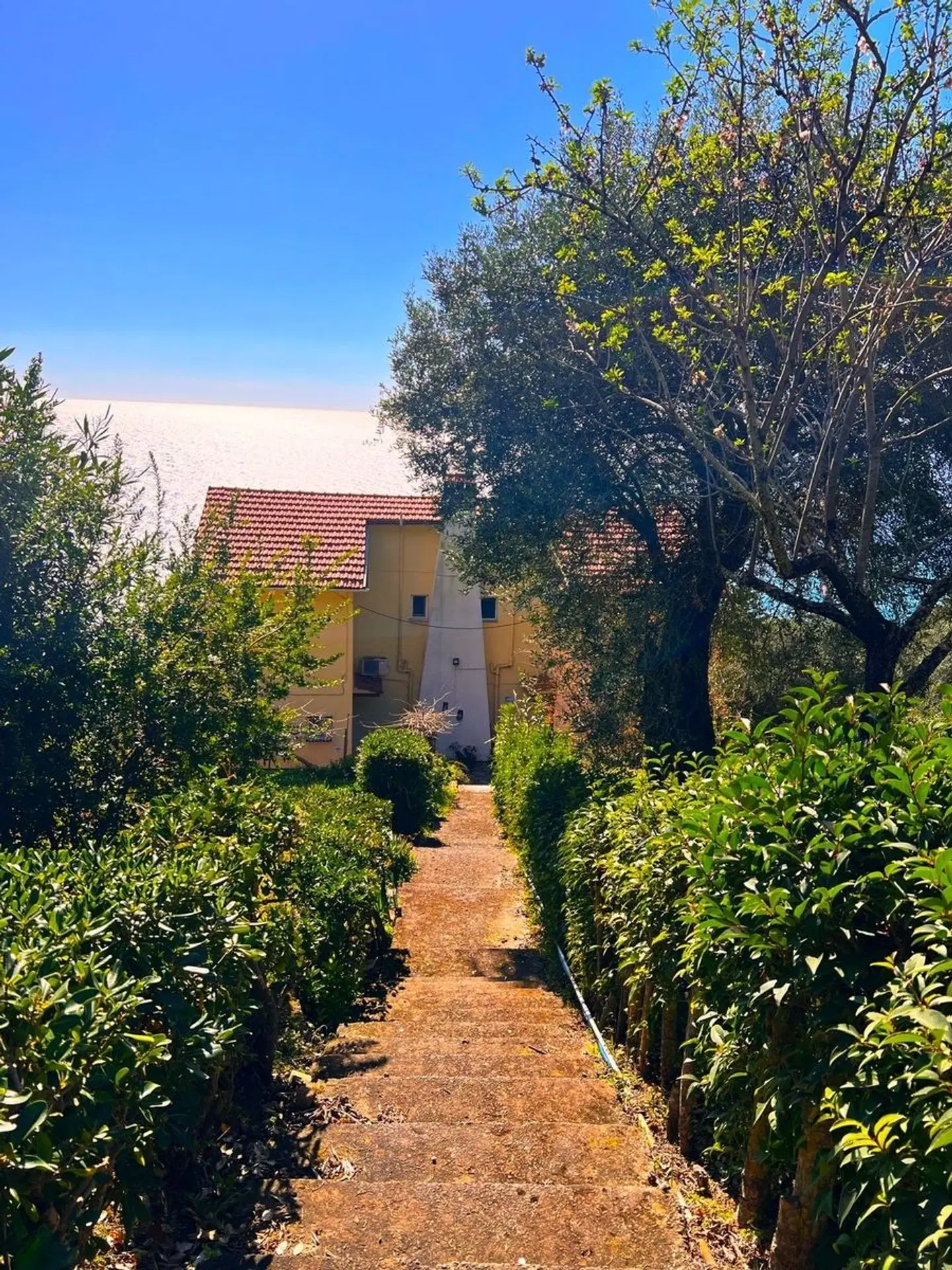 Stefanos Apartments Garten