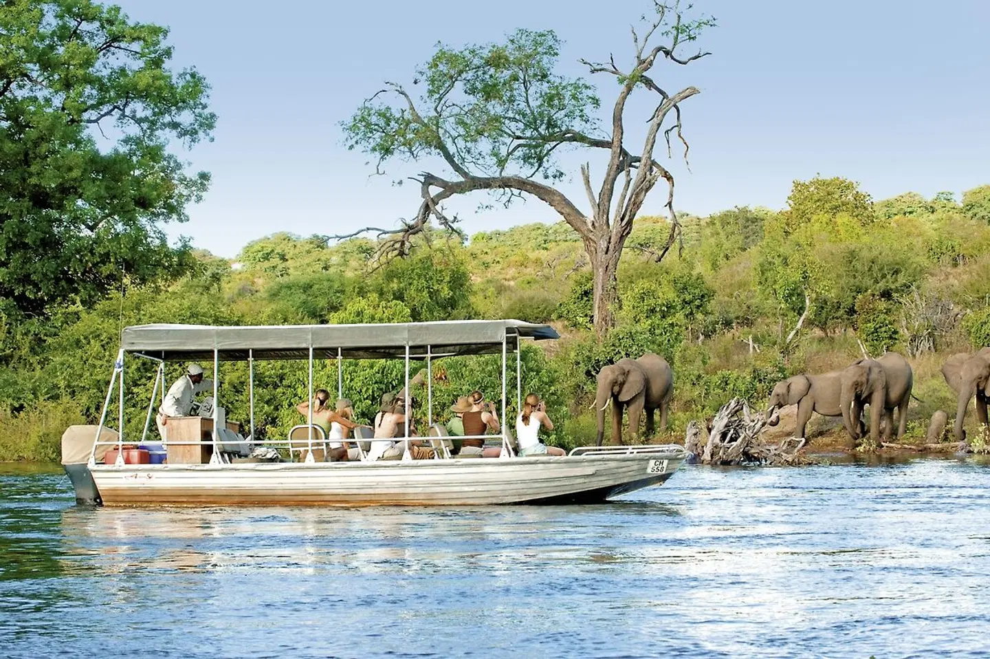 Sanctuary Chobe Chilwero Tiere