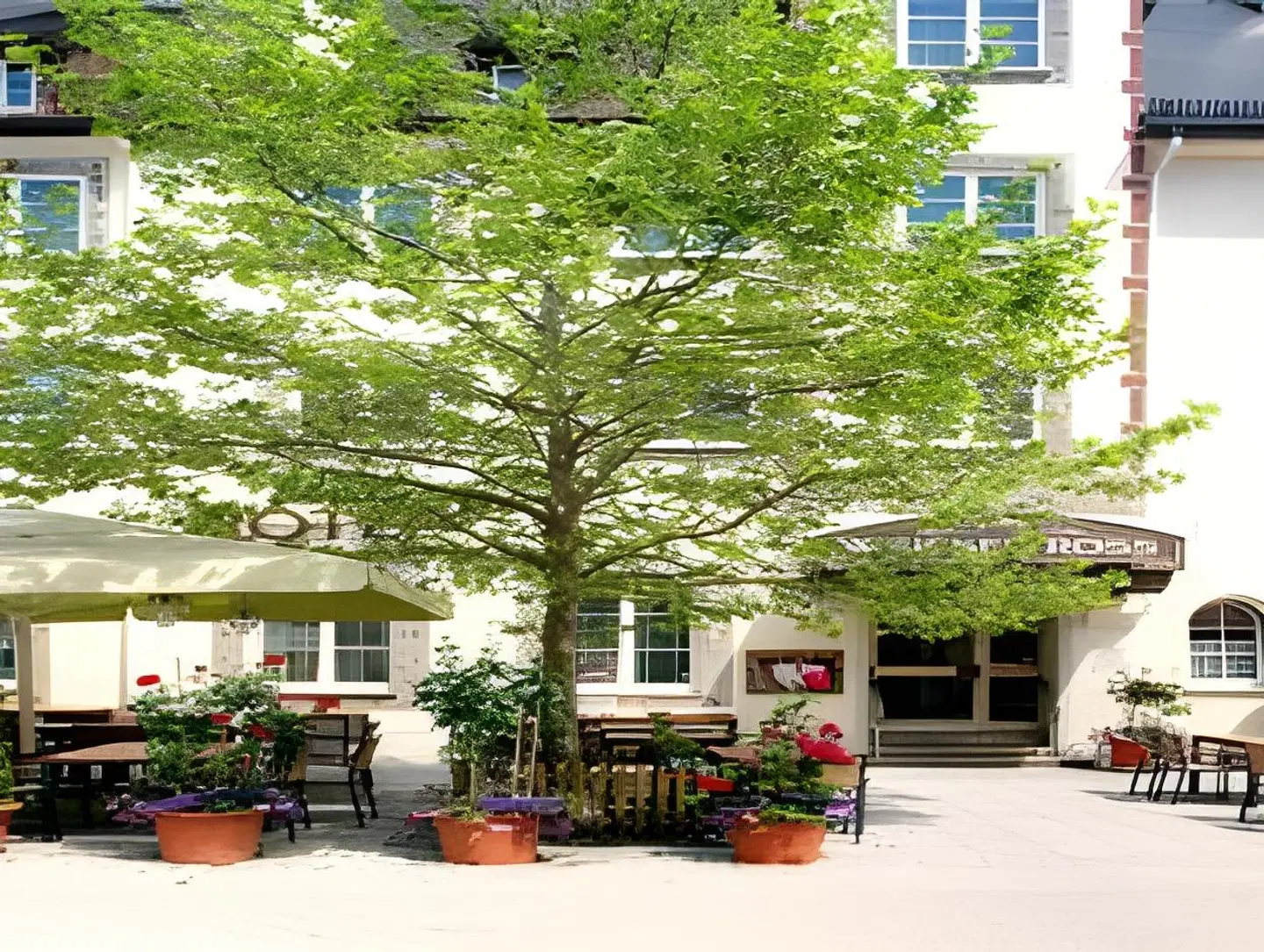 Weisses Ross EXTERIOR