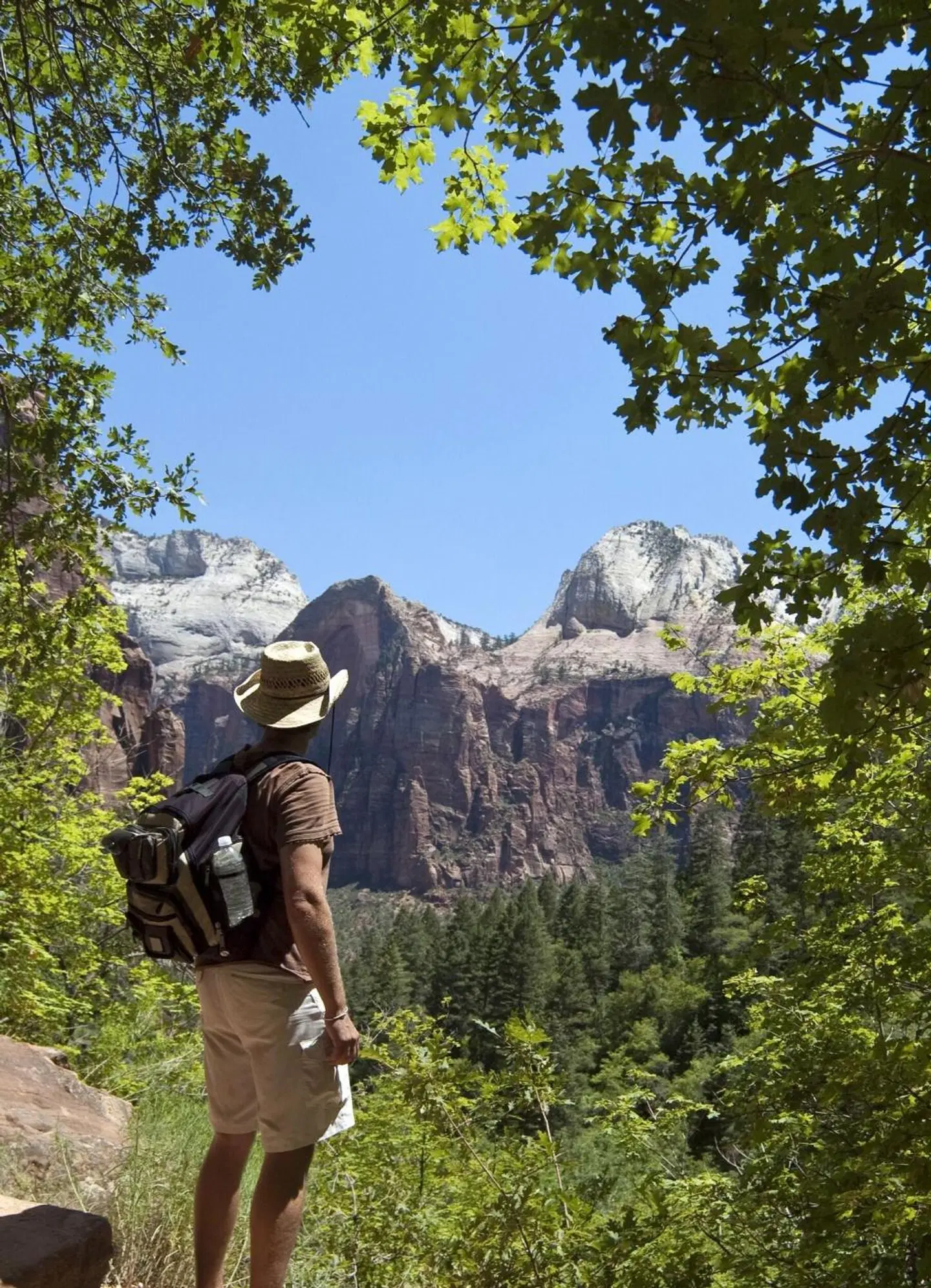 Zion Lodge LANDSCAPE