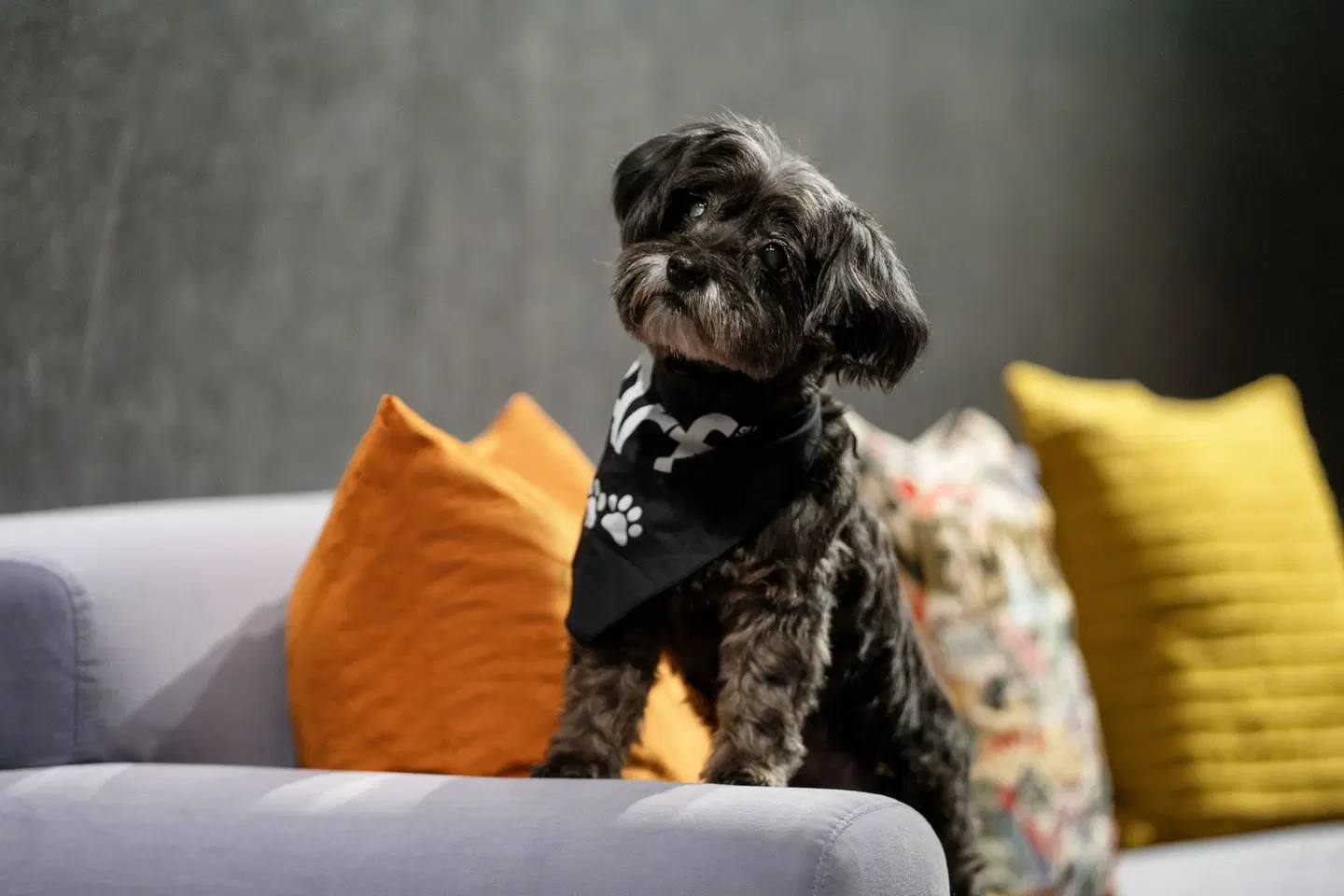 Aloft New York Chelsea PEOPLE