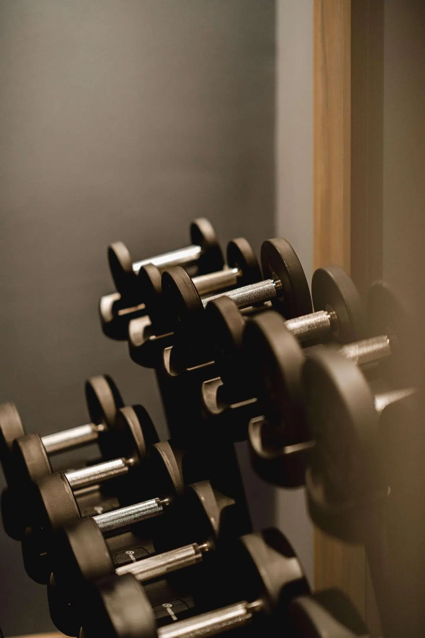 Hampton By Hilton Vienna City West Konferenz