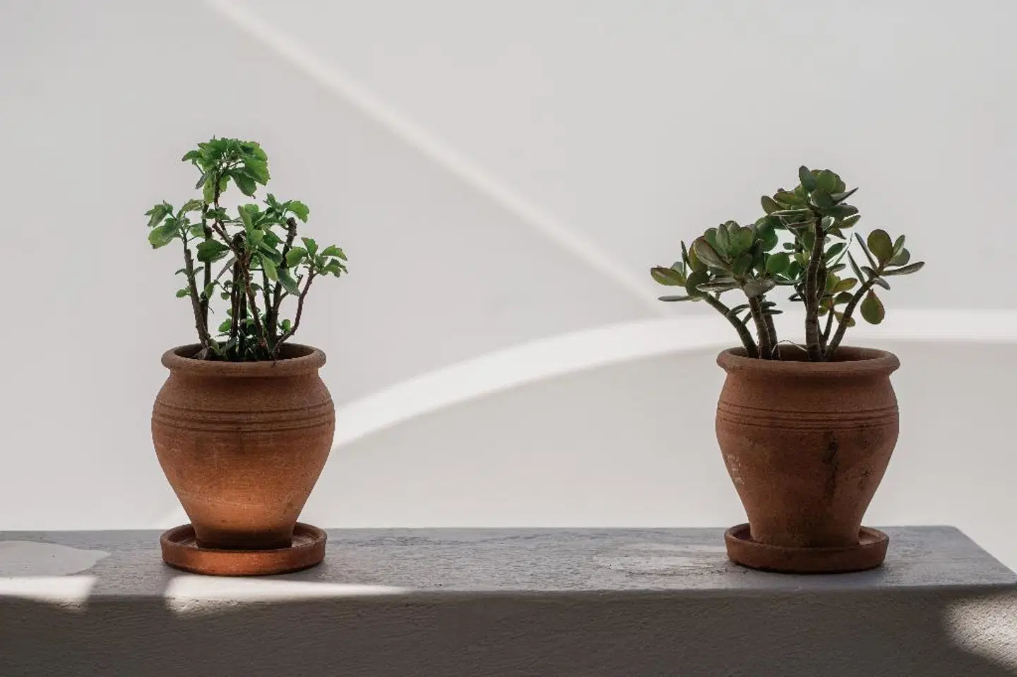 Amphitrite Suites Santorini LOUNGE_LOBBY