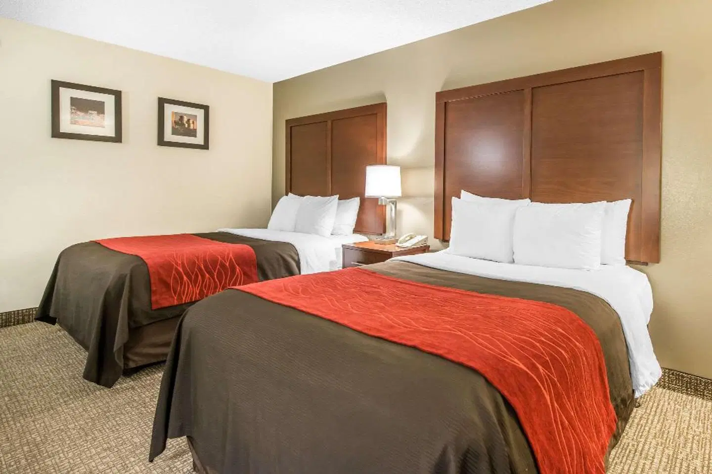Comfort Inn & Suites Denver ROOM_EXAMPLE