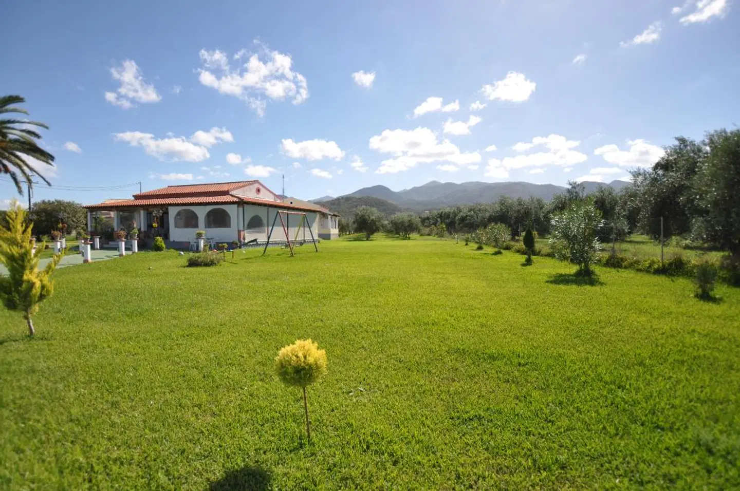 Liberty's Studios Tiere