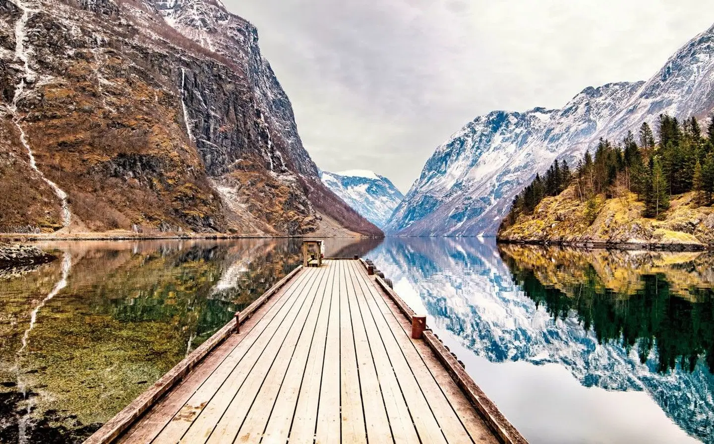 Mit Schiff und Bahn von Oslo nach Bergen im Winter Tiere