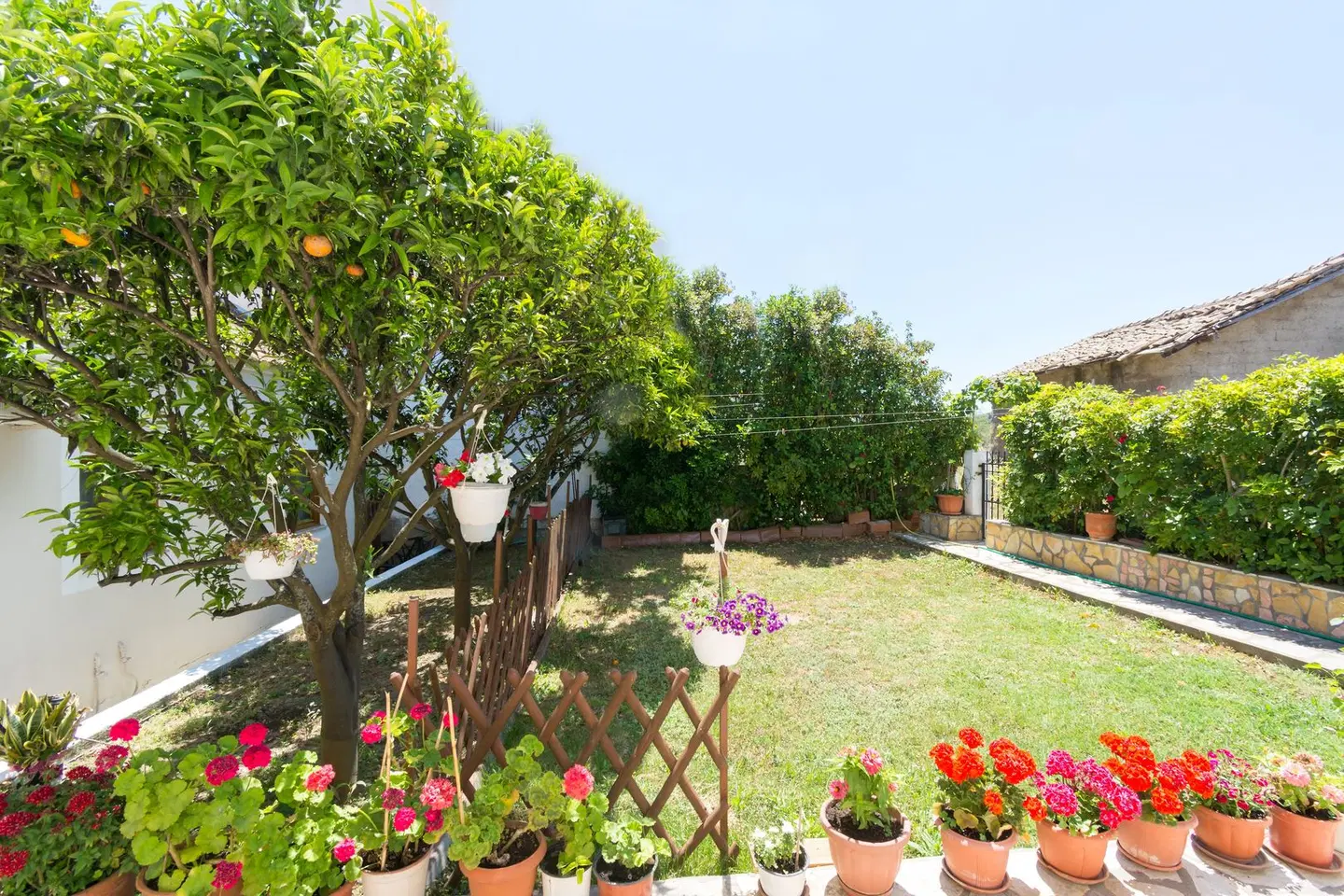 Roys Blu SPORTS_AND_LEISURE