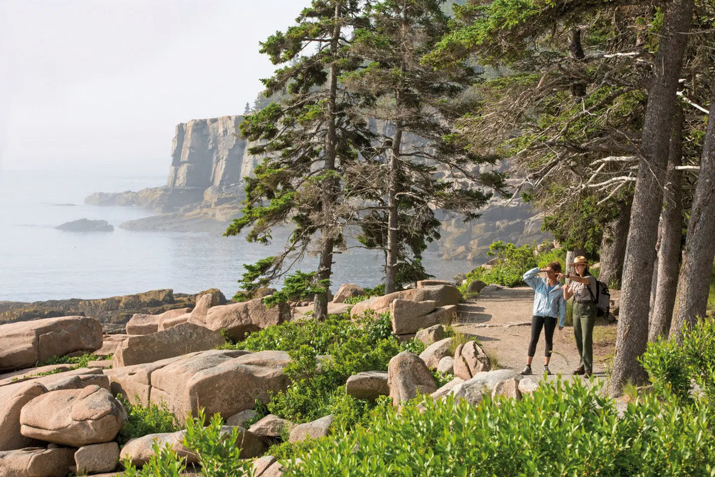 Klassisches Neuengland LANDSCAPE