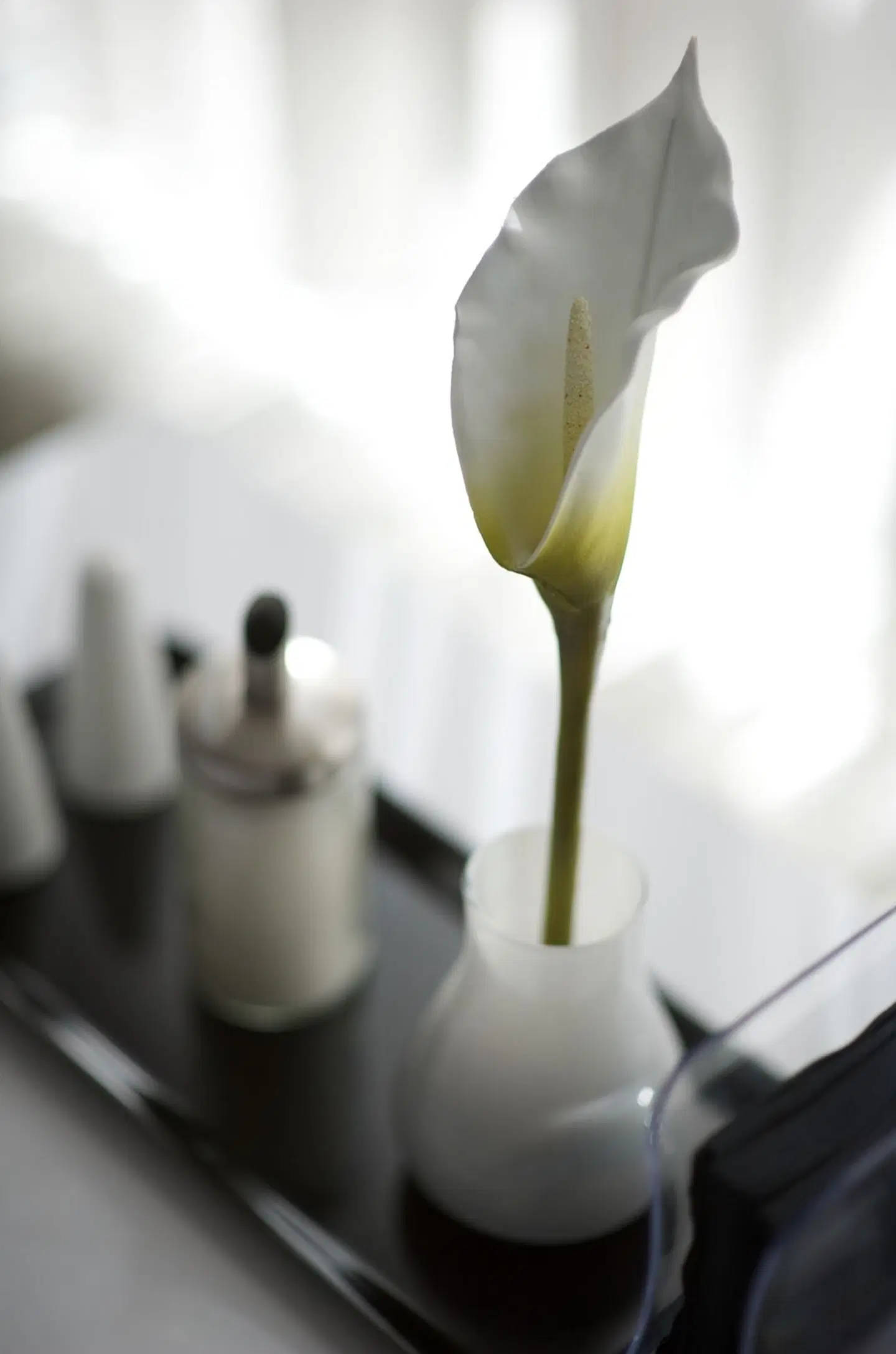 Good Morning Berlin City West Tiere