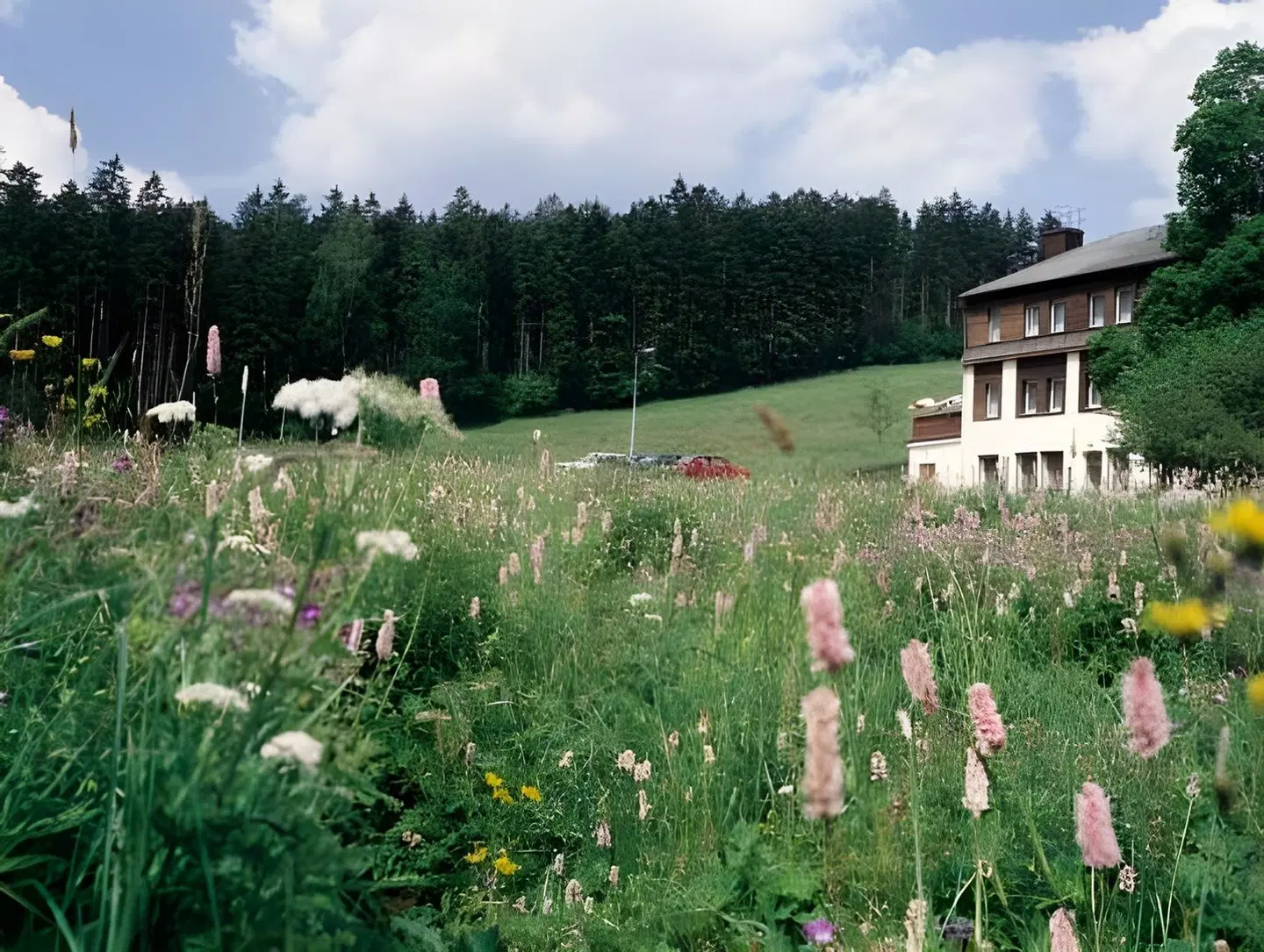 Landhaus Bergidyll Garten
