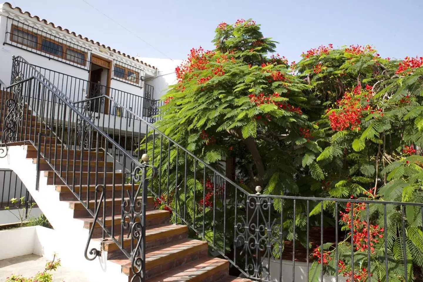 Alsol Las Orquídeas Terrasse