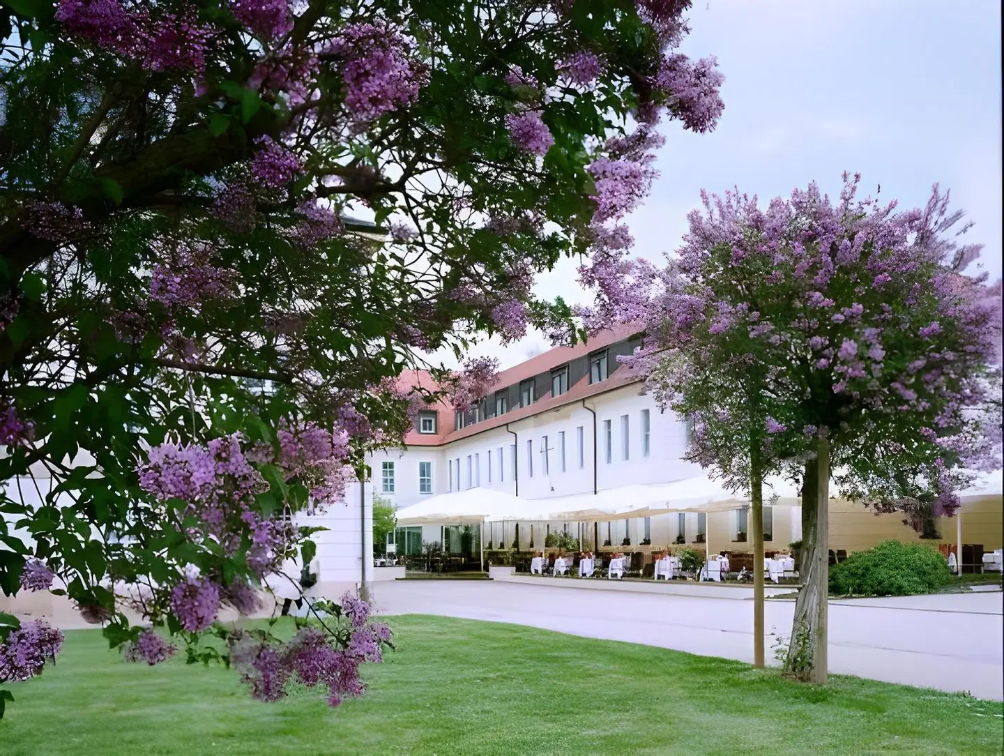 Schloßhotel Dresden-Pillnitz EXTERIOR
