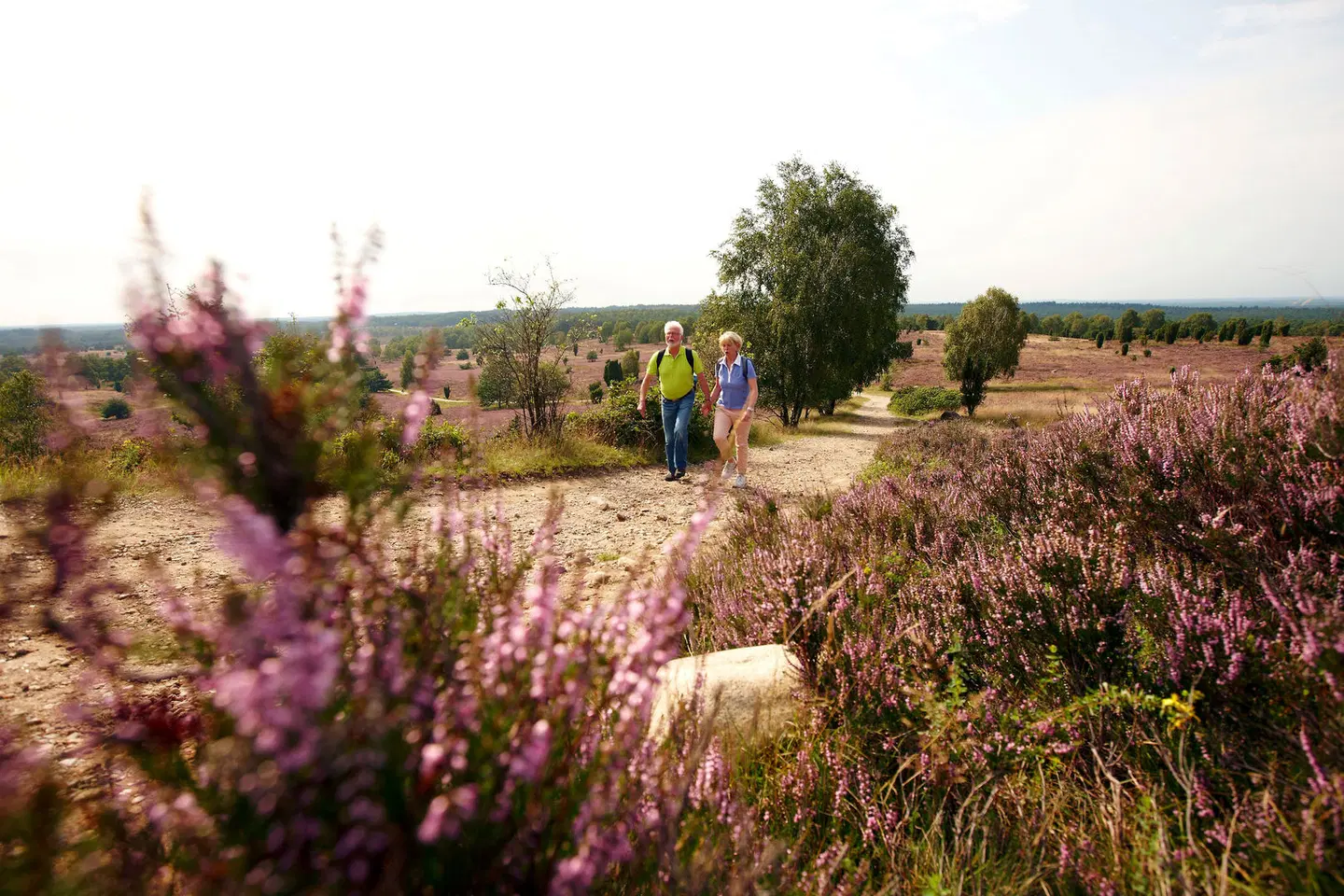 Plaza INN Heidehof LANDSCAPE