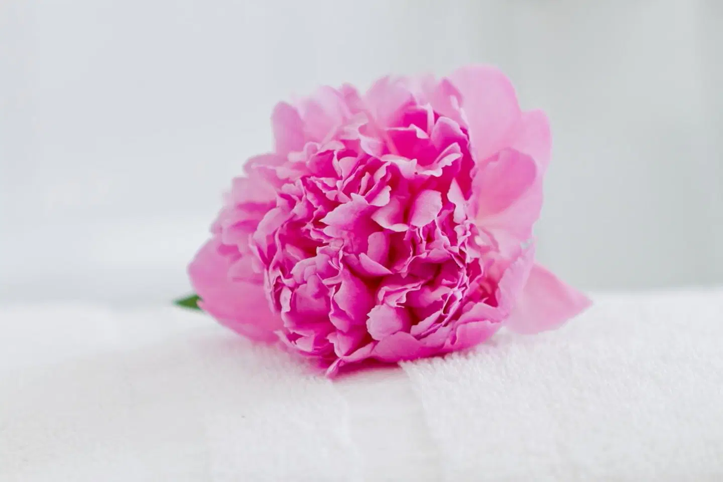 Hotel zum Goldenen Löwen LANDSCAPE