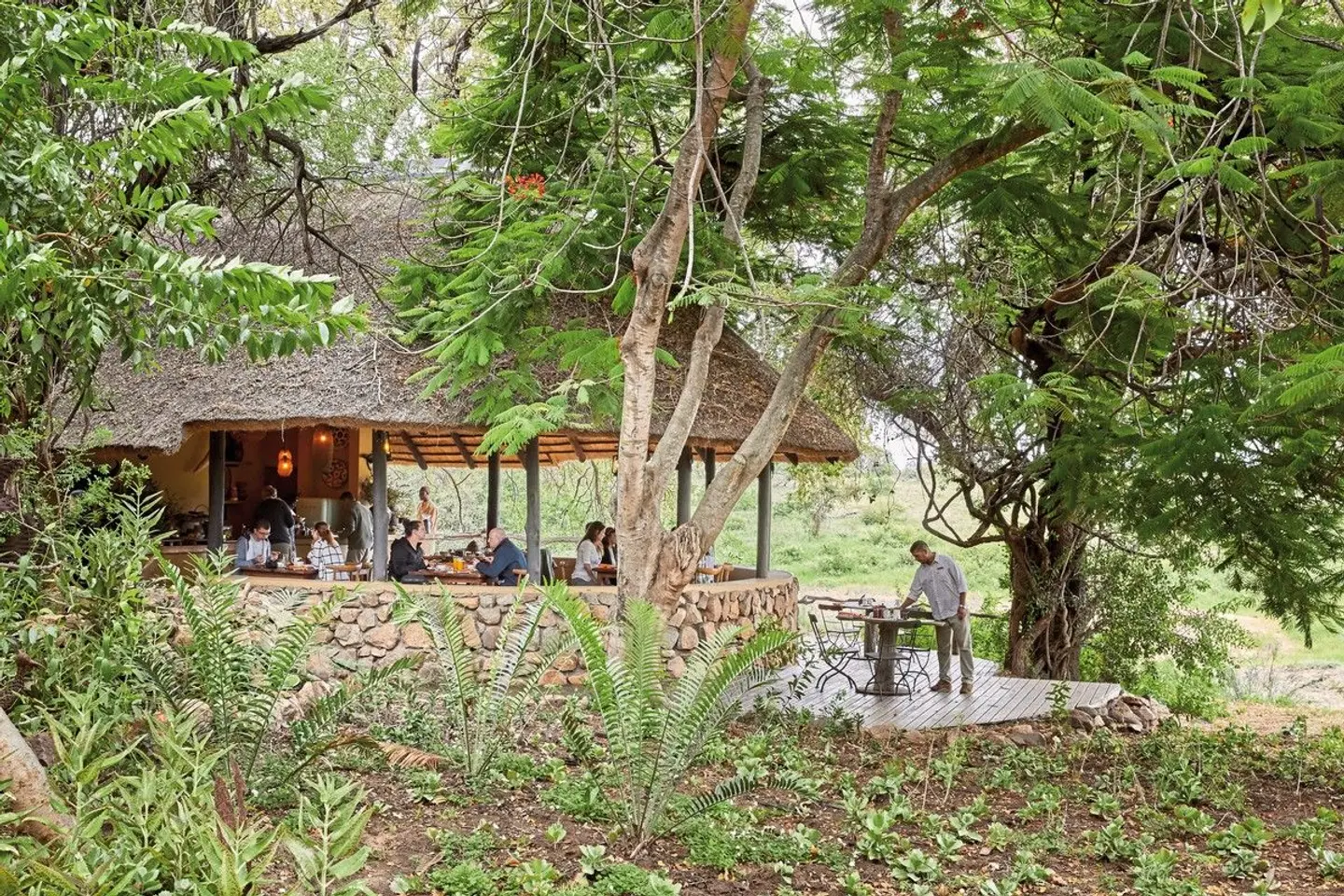 Motswari Private Game Reserve Tiere