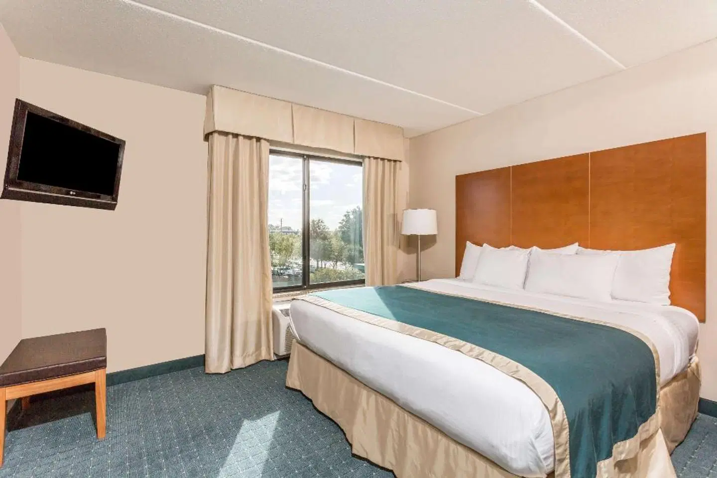 Wingate by Wyndham Richmond Short Pump ROOM_EXAMPLE