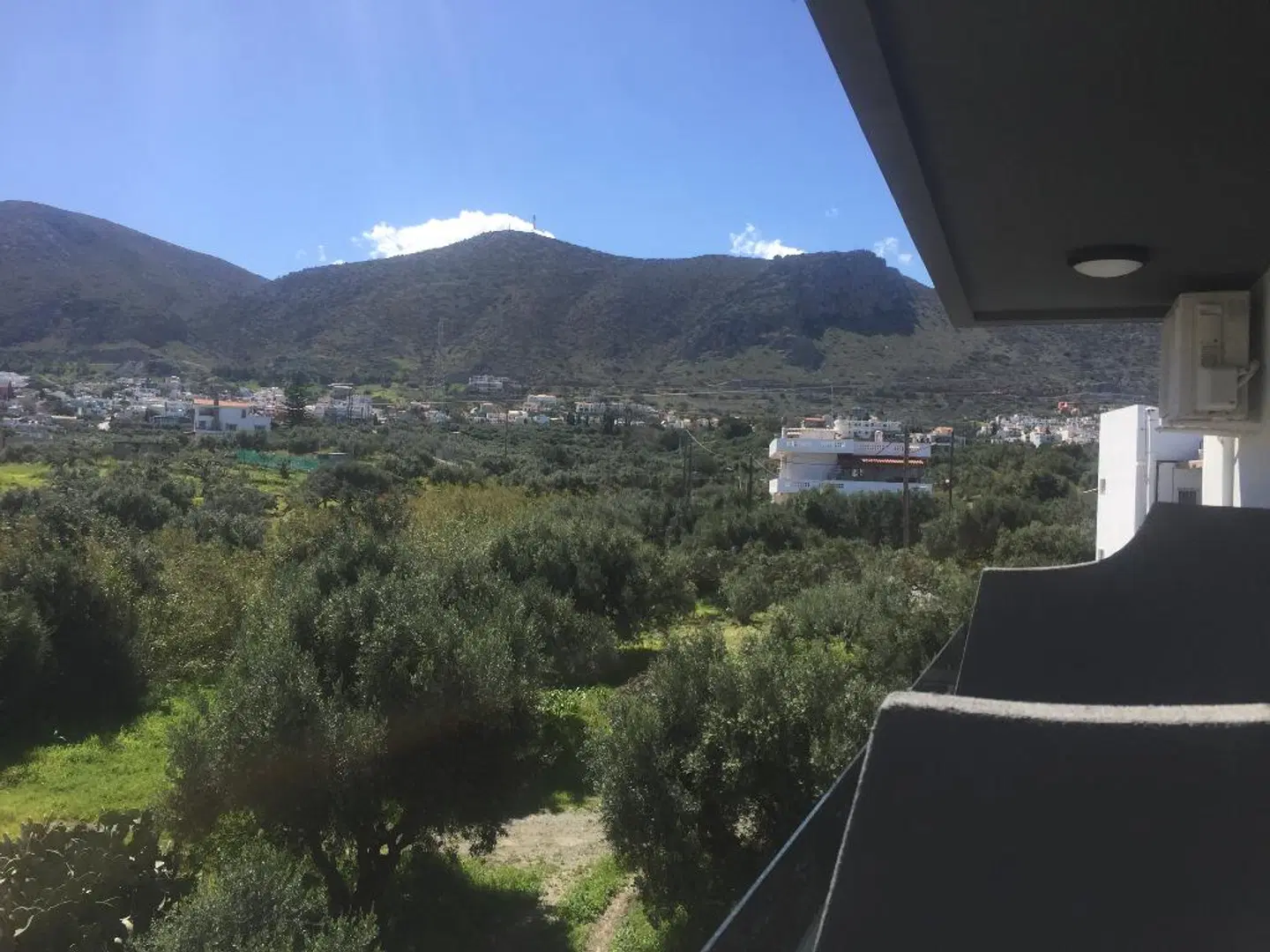 City Pearl LANDSCAPE