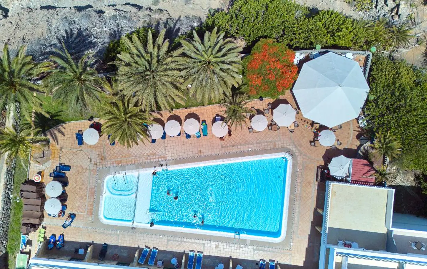 Hotel Chatur Palmera Mar OUTDOOR_POOL