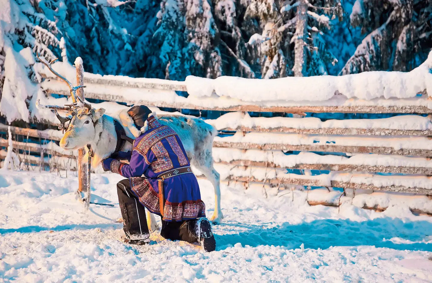 Lapplands magische Nächte - Muotka SPORTS_AND_LEISURE